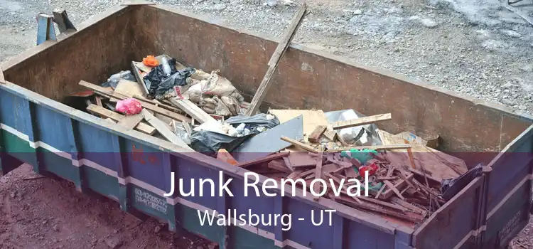Junk Removal Wallsburg - UT