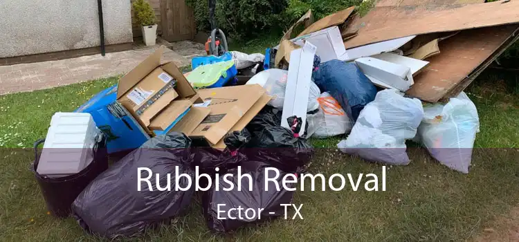 Rubbish Removal Ector - TX