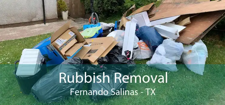Rubbish Removal Fernando Salinas - TX