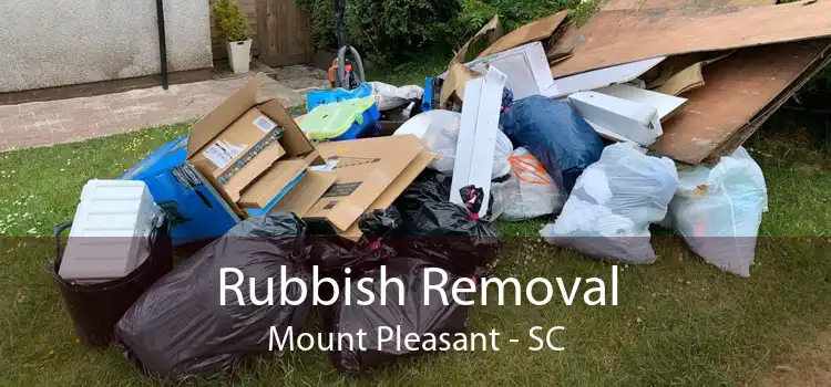 Rubbish Removal Mount Pleasant - SC