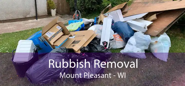Rubbish Removal Mount Pleasant - WI