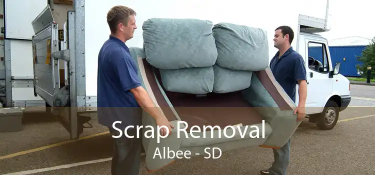 Scrap Removal Albee - SD