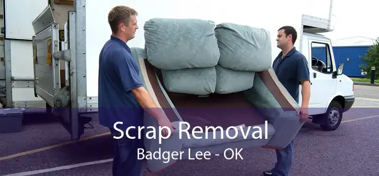 Scrap Removal Badger Lee - OK