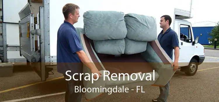 Scrap Removal Bloomingdale - FL