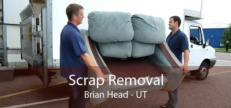 Scrap Removal Brian Head - UT