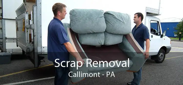 Scrap Removal Callimont - PA