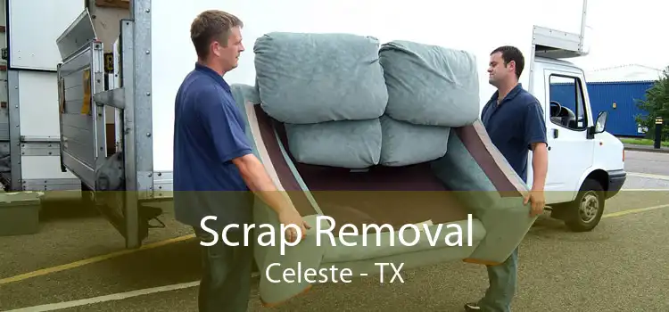 Scrap Removal Celeste - TX