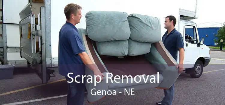Scrap Removal Genoa - NE