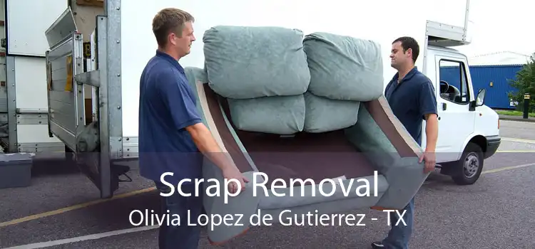 Scrap Removal Olivia Lopez de Gutierrez - TX
