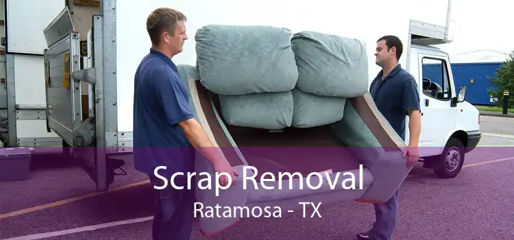 Scrap Removal Ratamosa - TX
