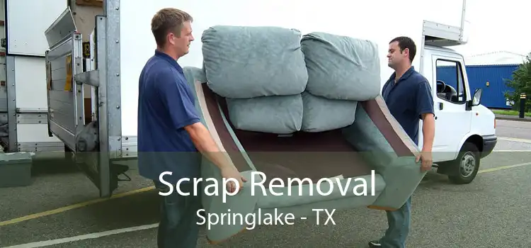 Scrap Removal Springlake - TX