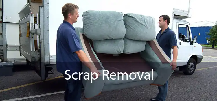 Scrap Removal 