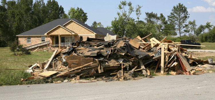 Landscape Debris Removal in Rains County